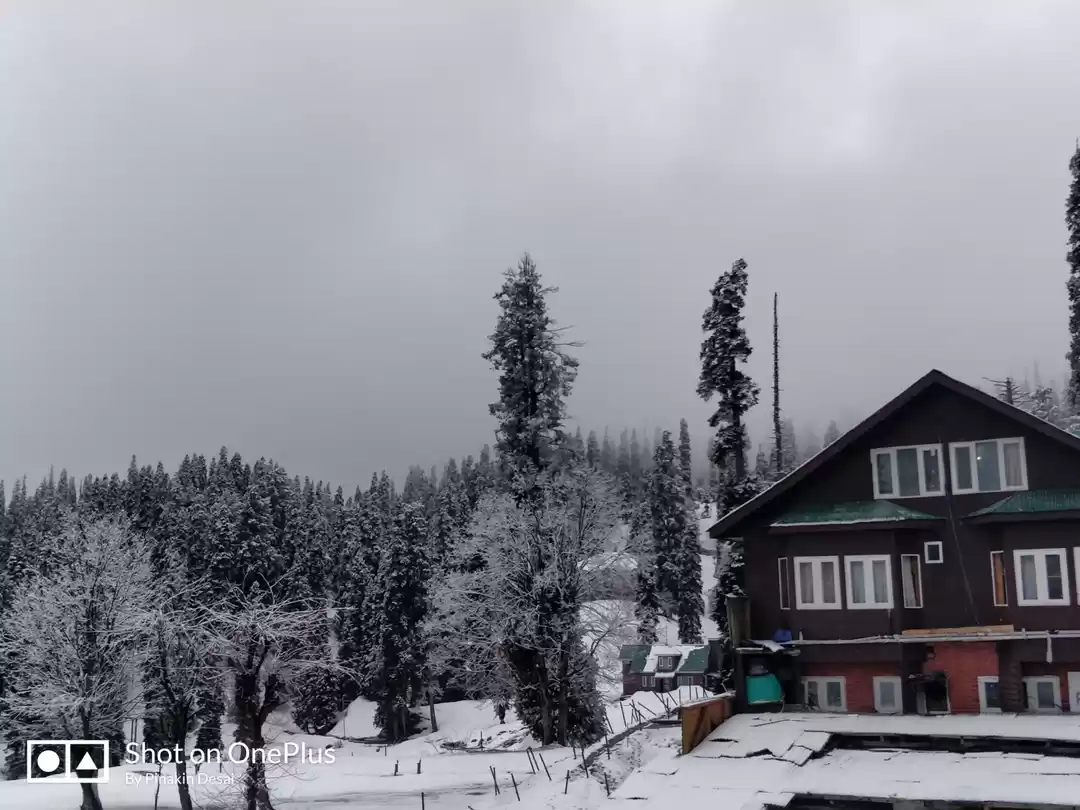 Photo of Athwa Surat