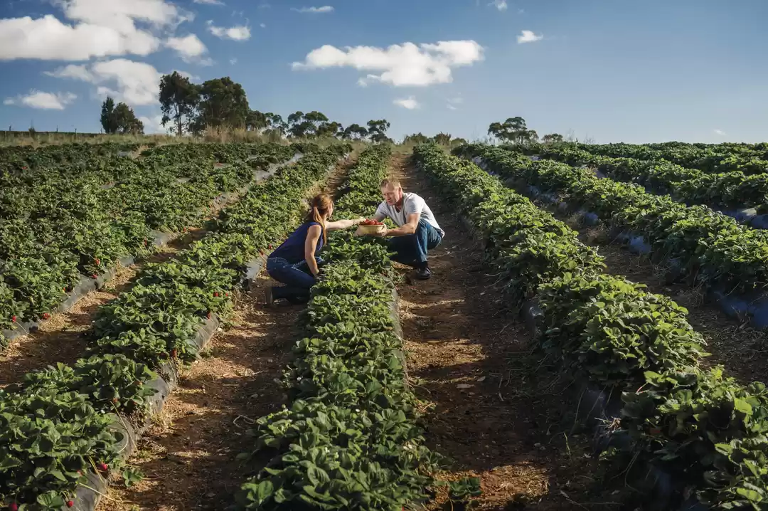 Photo of Unforgettable Experi