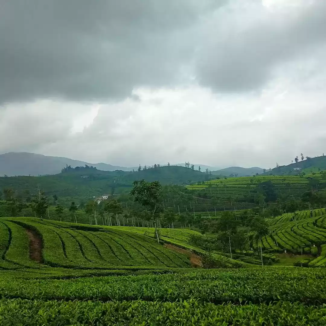 Photo of An Adventure Lover,