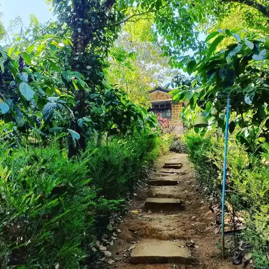 Photo of A Do-Nothing Farm St
