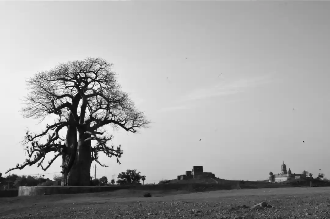 Photo of near Betwa River Bank Orchha
