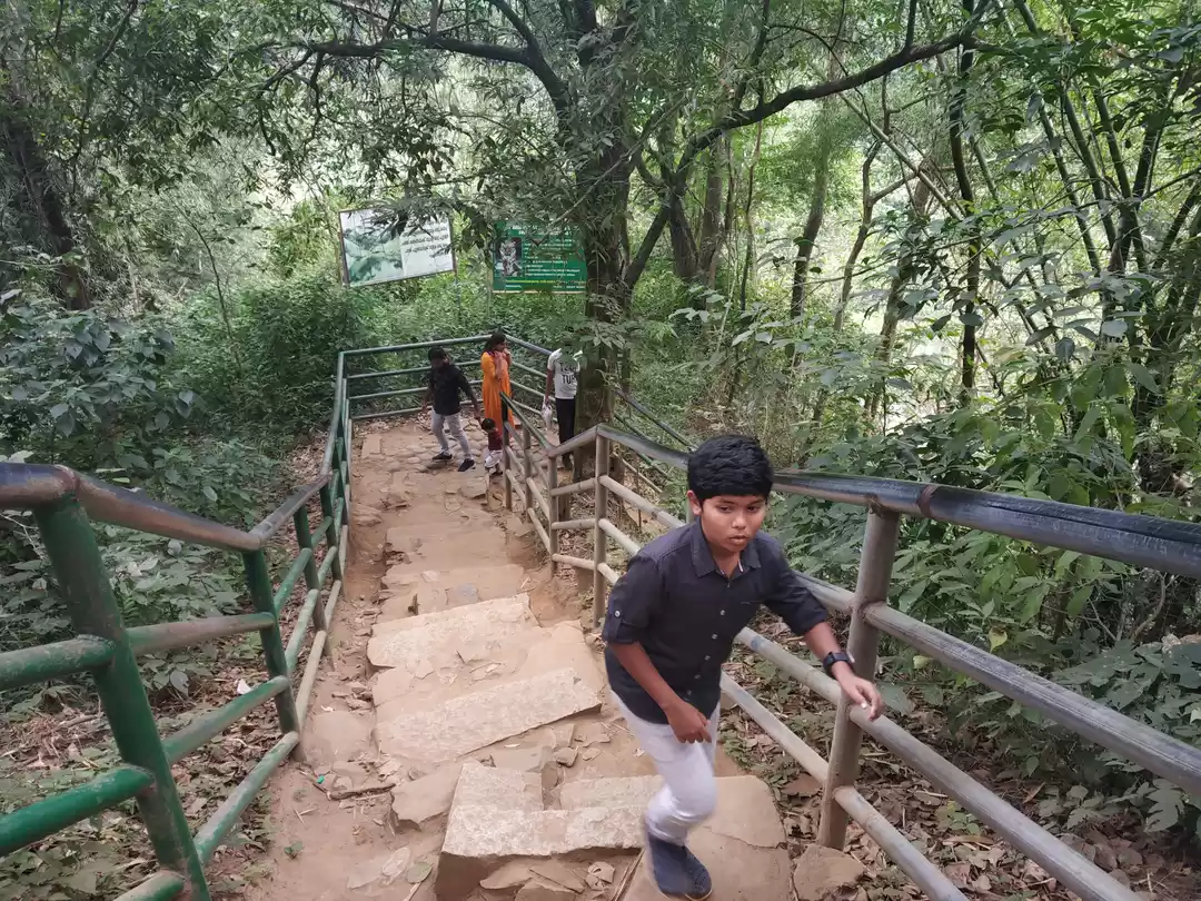 Photo of Soochippara Falls (Sentinel Rock Waterfall)