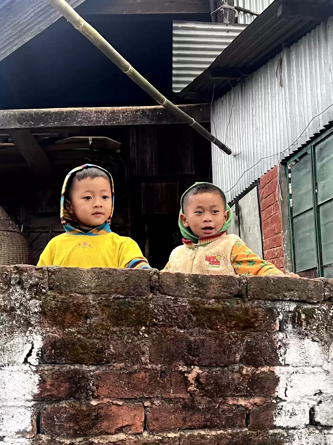 Photo of Journey to the North