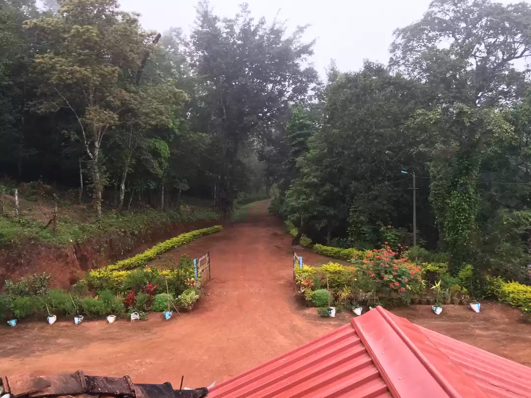 Photo of GundiMane