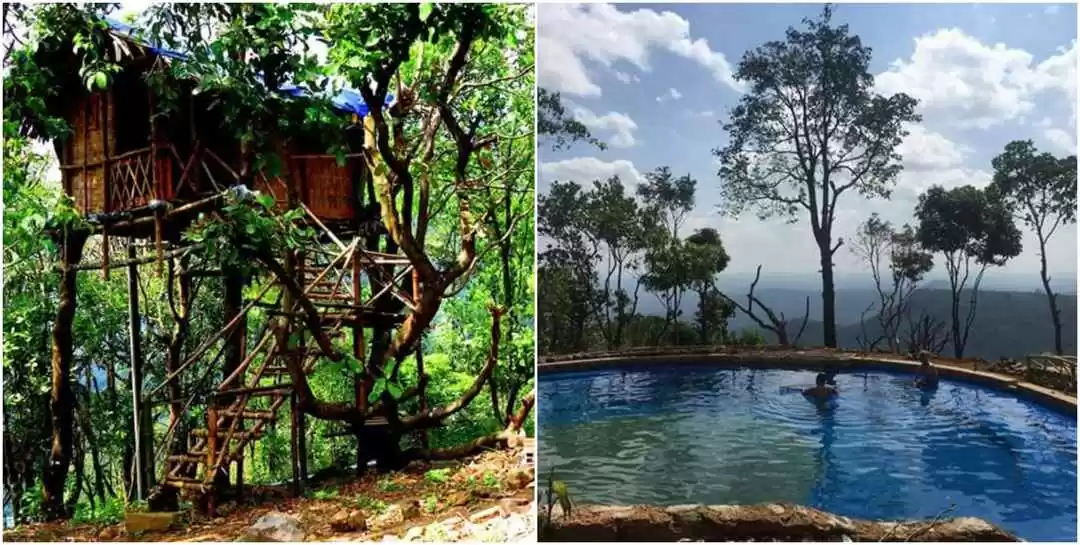 Photo of Tree House Stay