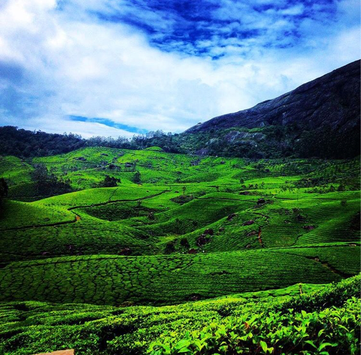 Photo of Five beautiful 