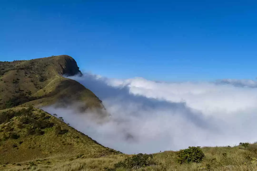 Photo of Taste the Best 