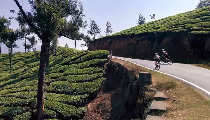 Photo of Highlights of K