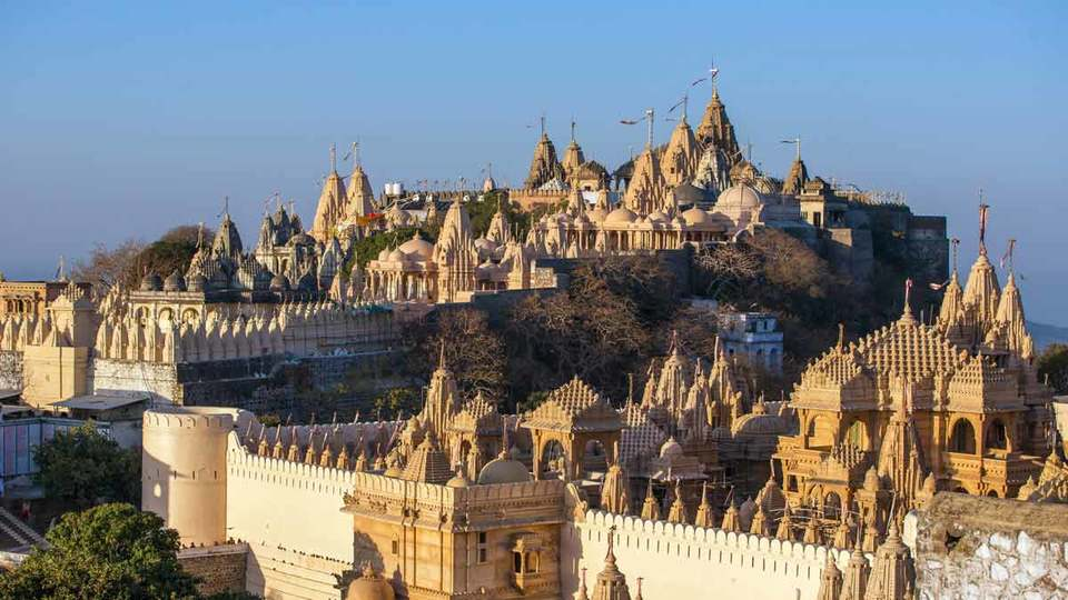 Photo of જો તમે બજેટ ફ્રેન્ડલ