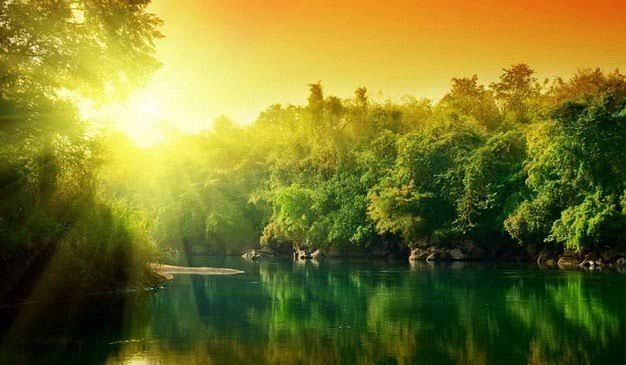 Photo of સુંદરવન એ ભારતનું સૌ