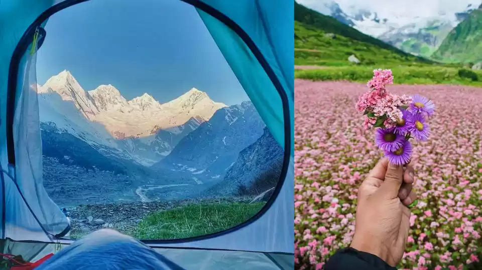 Photo of દારમા વેલીઃ તમે પણ ઉ