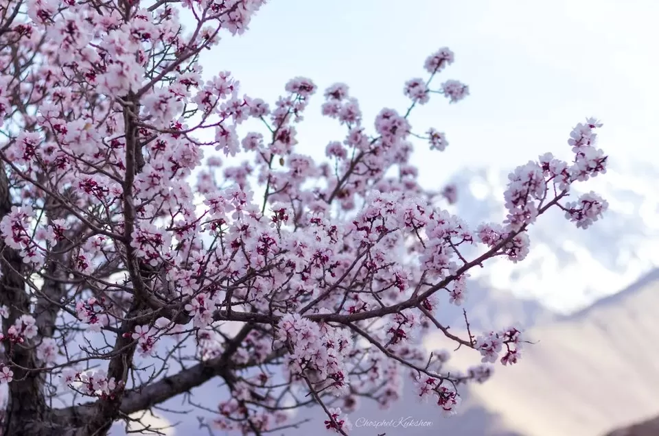 Photo of લદ્દાખ આ એપ્રિલમાં અ