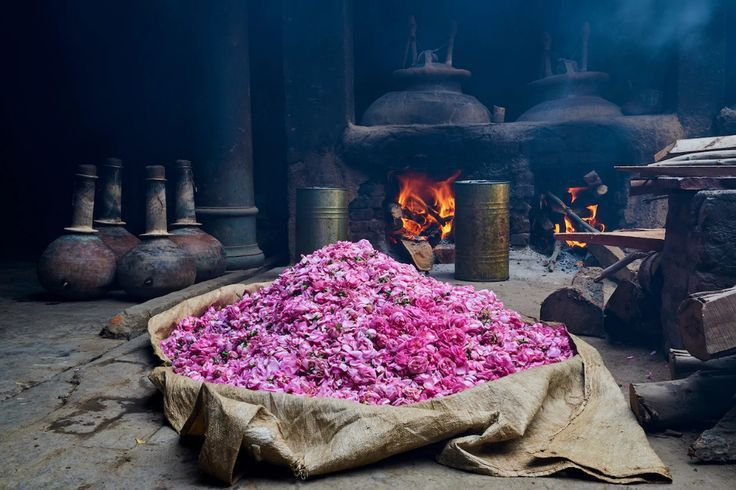 Photo of યુપીનું પરફ્યુમ શહેર
