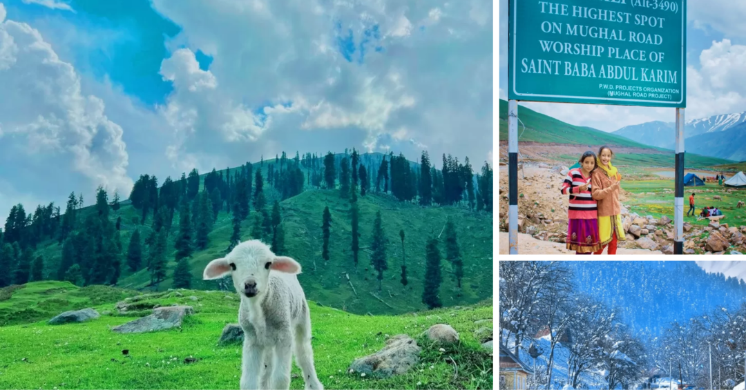 Photo of કાશ્મીરના દાલ સરોવર