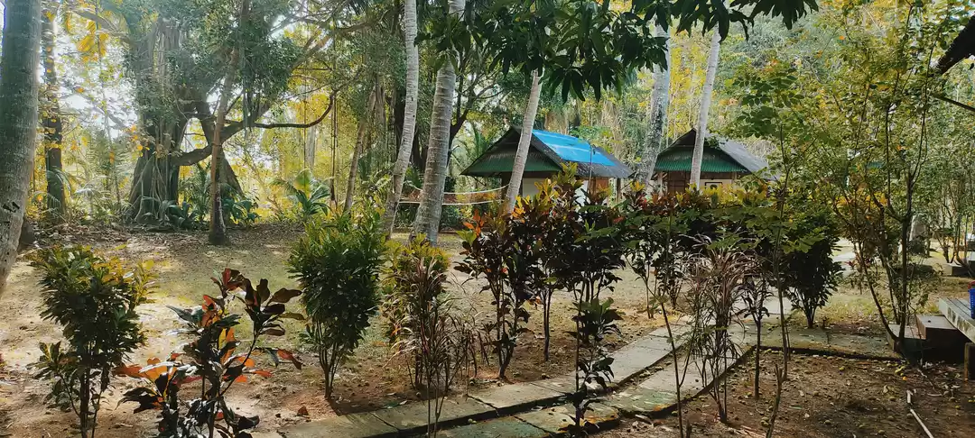 Photo of Neil Island – Relivi