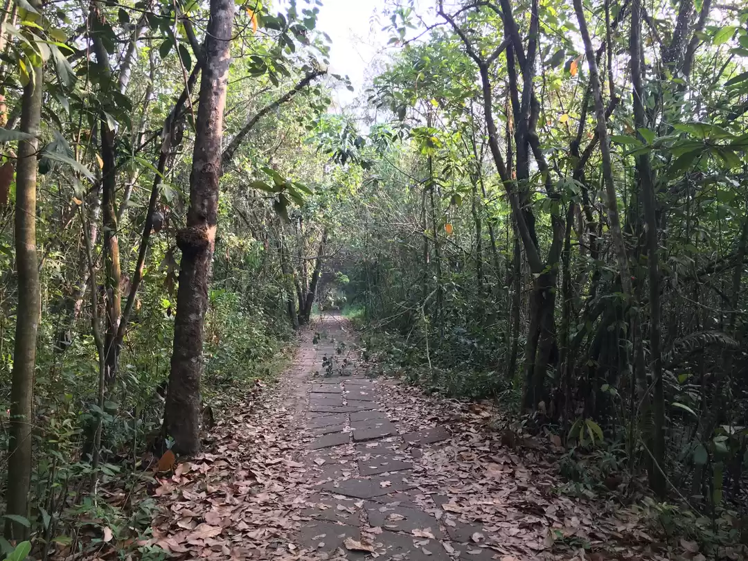 Photo of Kumarakom Bird Sanctuary