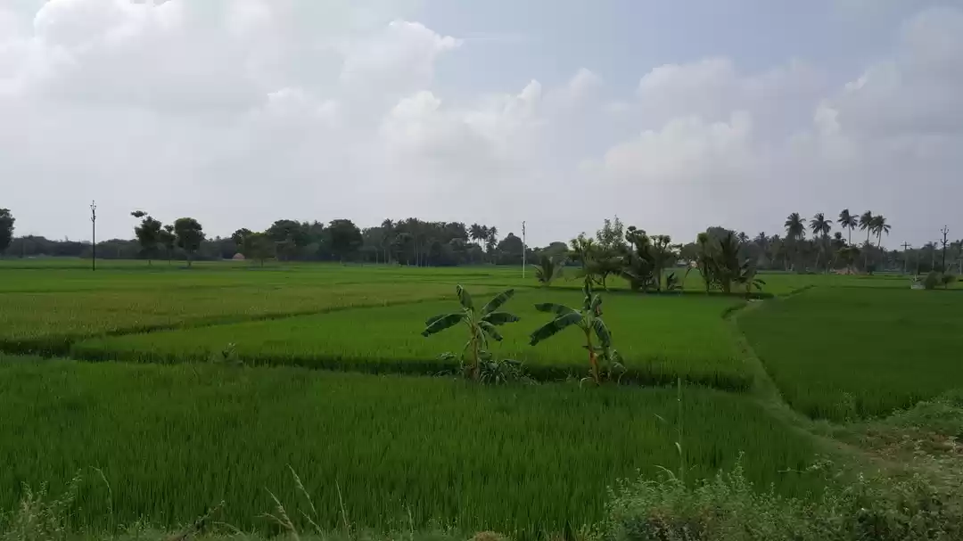 Photo of Kolli Hills