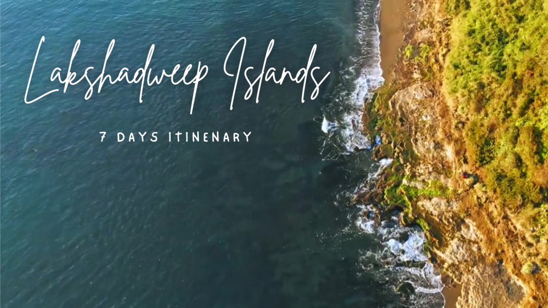 Photo of Your Ultimate Guide