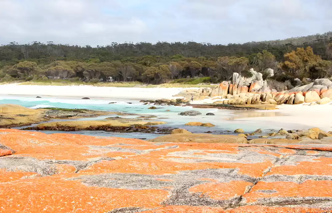 Photo of Bay of Fires