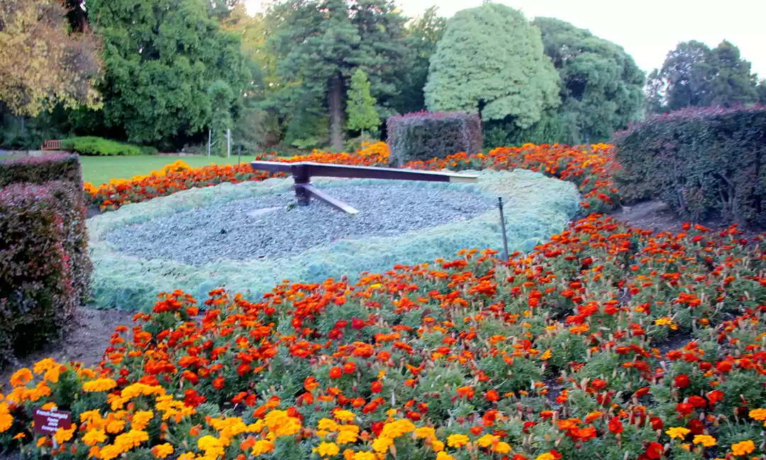 Photo of Royal Tasmanian Botanical Gardens