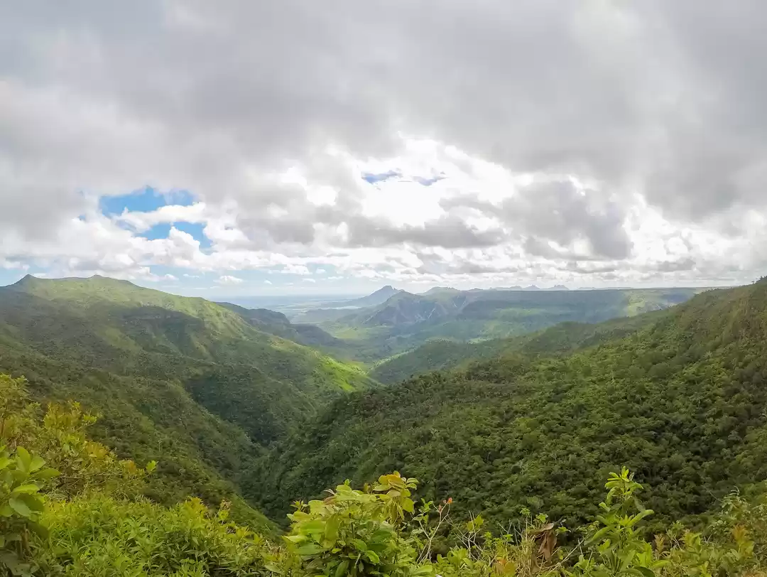 Photo of Black River Gorges National Park