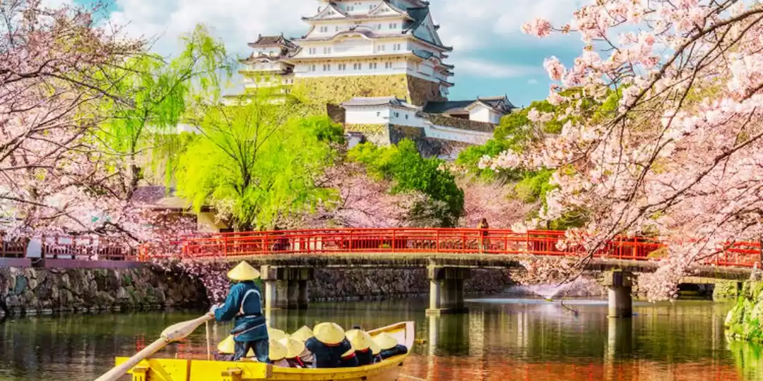 Photo of Unveiling Japan's Hi