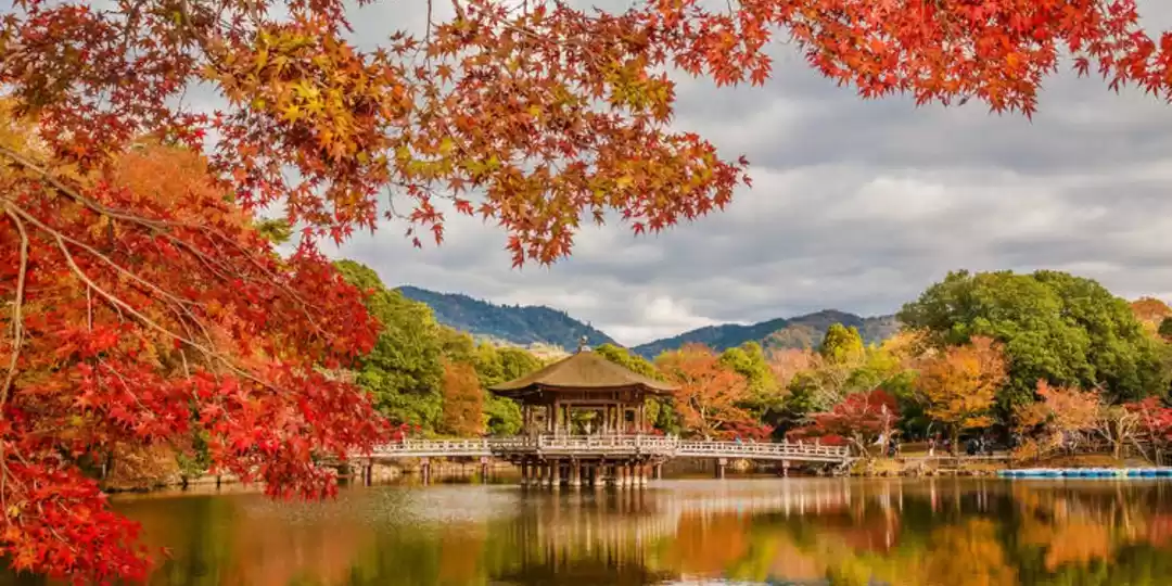 Photo of Autumn Awaits! Best 