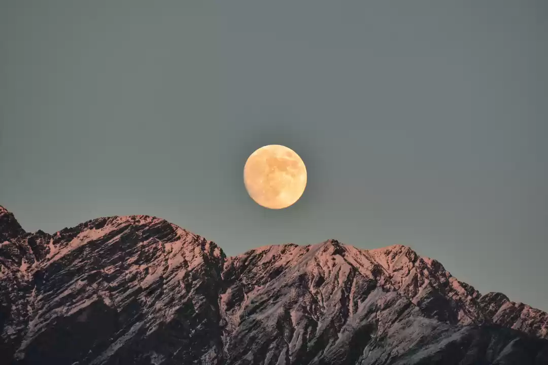 Photo of Kedarnath Trek 2025 (Ex-Delhi)