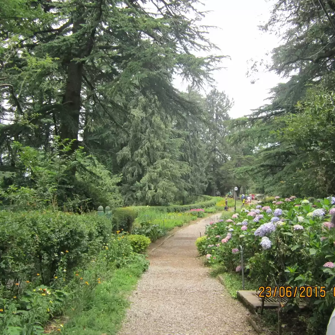 Photo of Indian Institute of Advanced Study