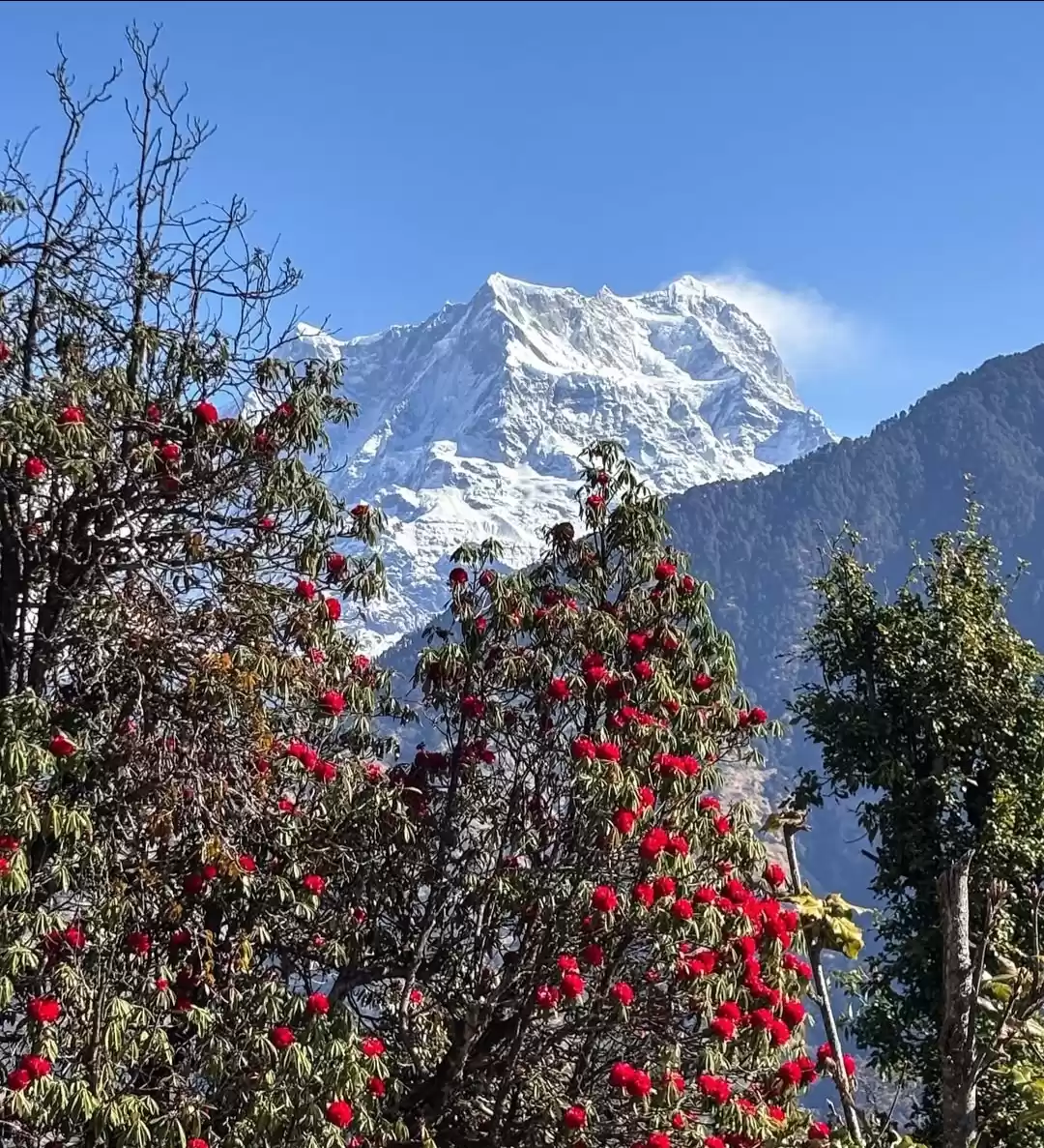 Photo of Urgam velly