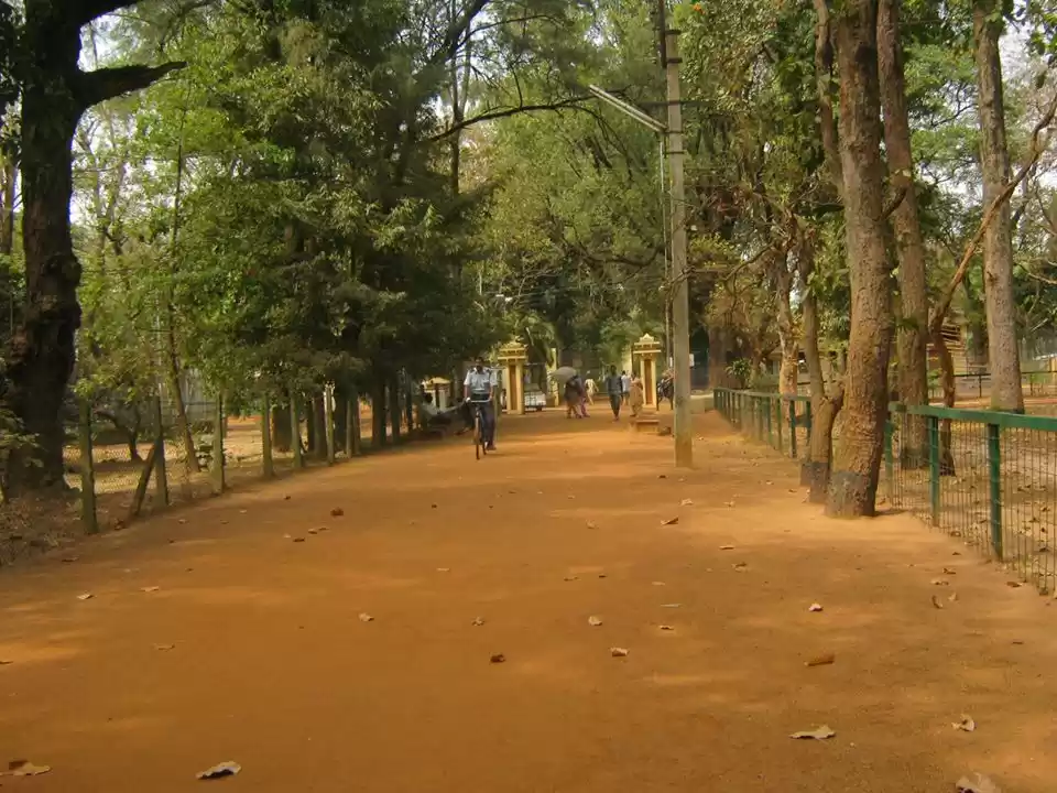 Photo of University Campus