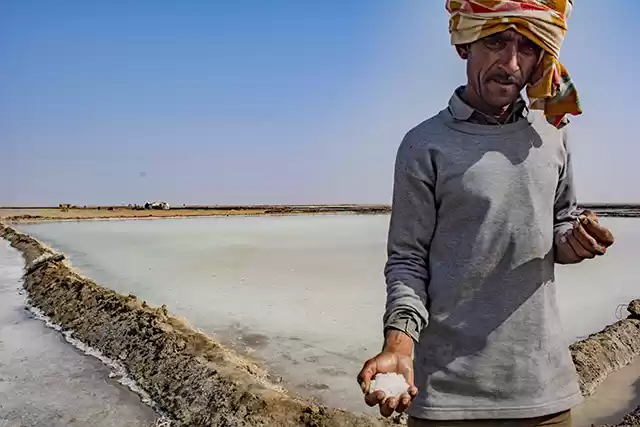 Photo of Wild Ass Sanctuary