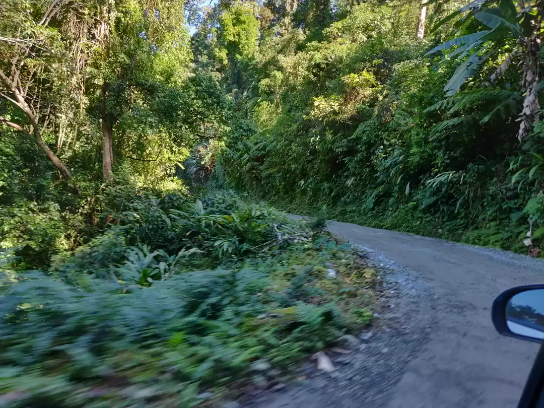 Photo of Medicinal Plant Conservation Area