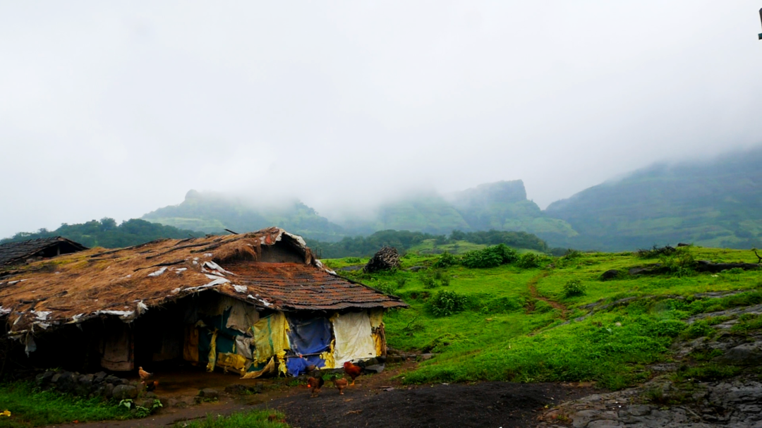 Photo of Ratangad to Kumshet 