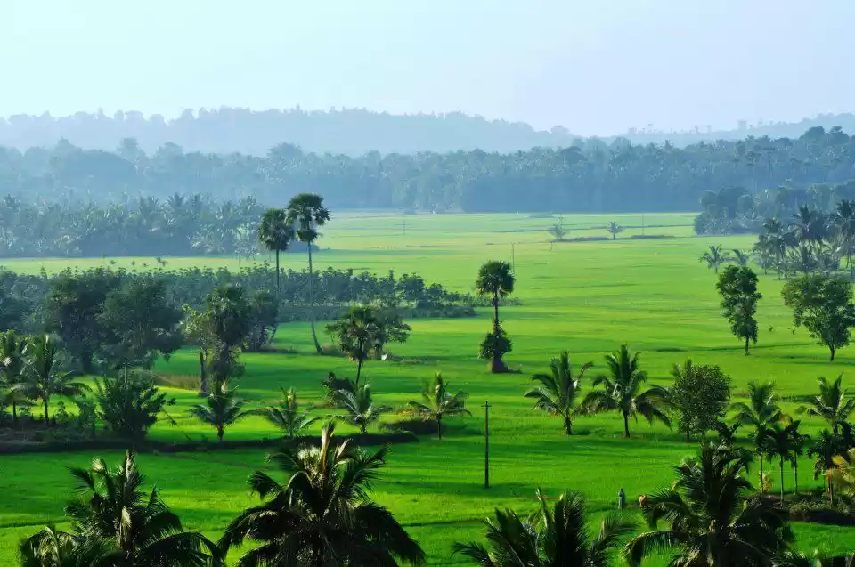 Photo of Palakkad