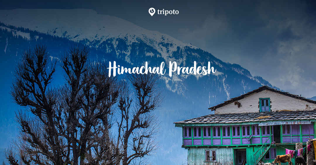 Photo of Himachal Package For 6N 7D
