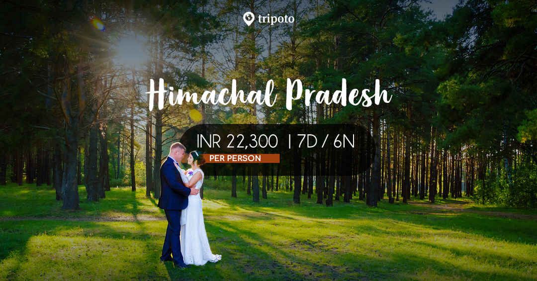 Photo of 7 Days Honeymoon Special in Himachal