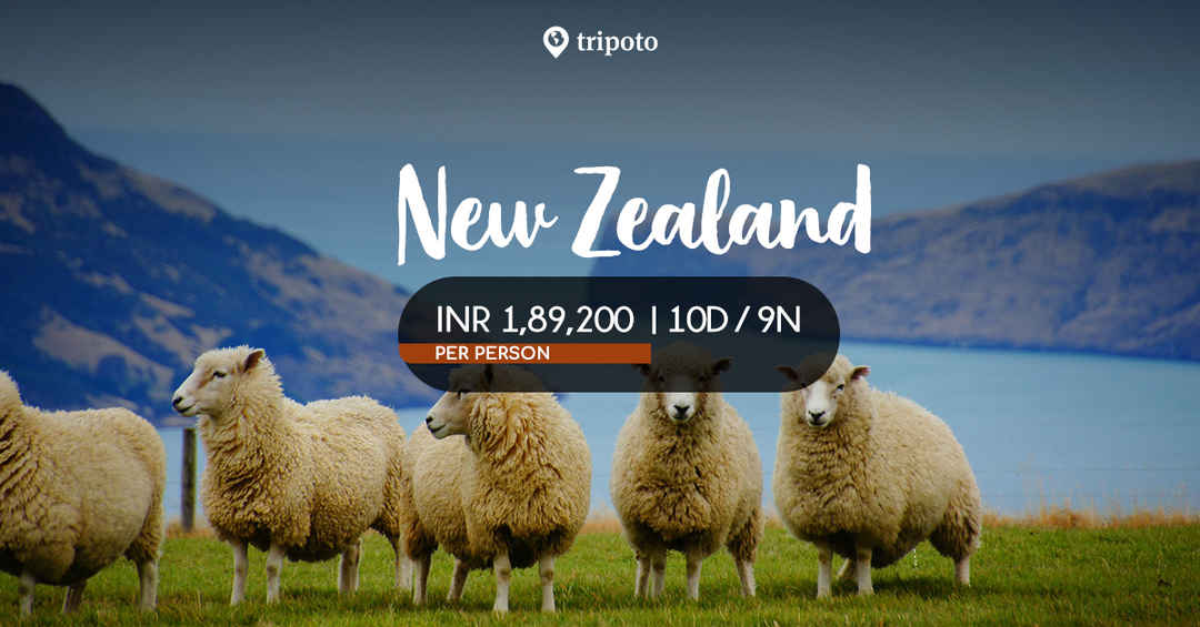 Photo of Spectacular New Zealand