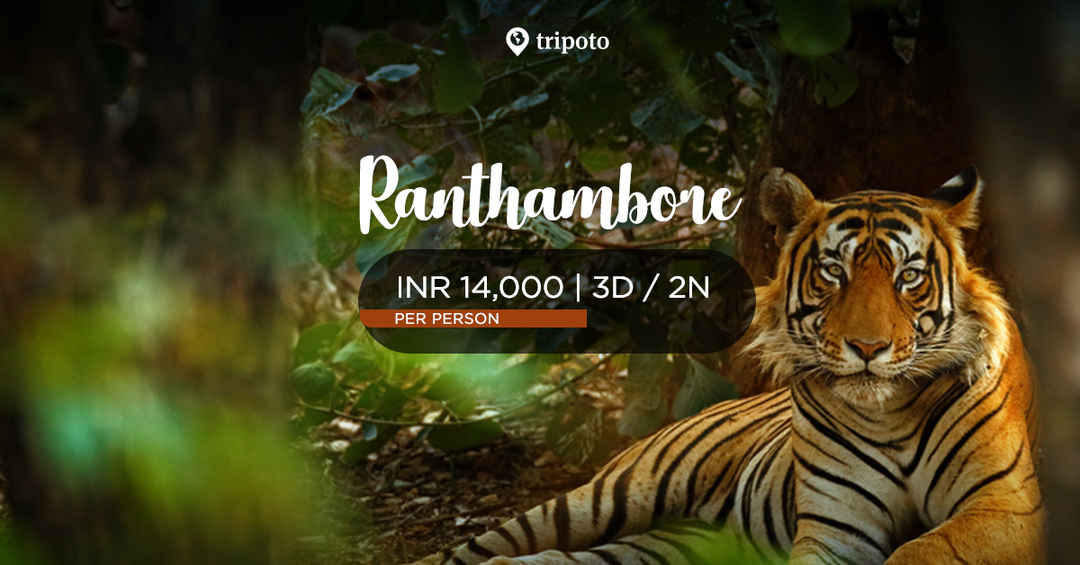 Photo of Retreat To Ranthambore