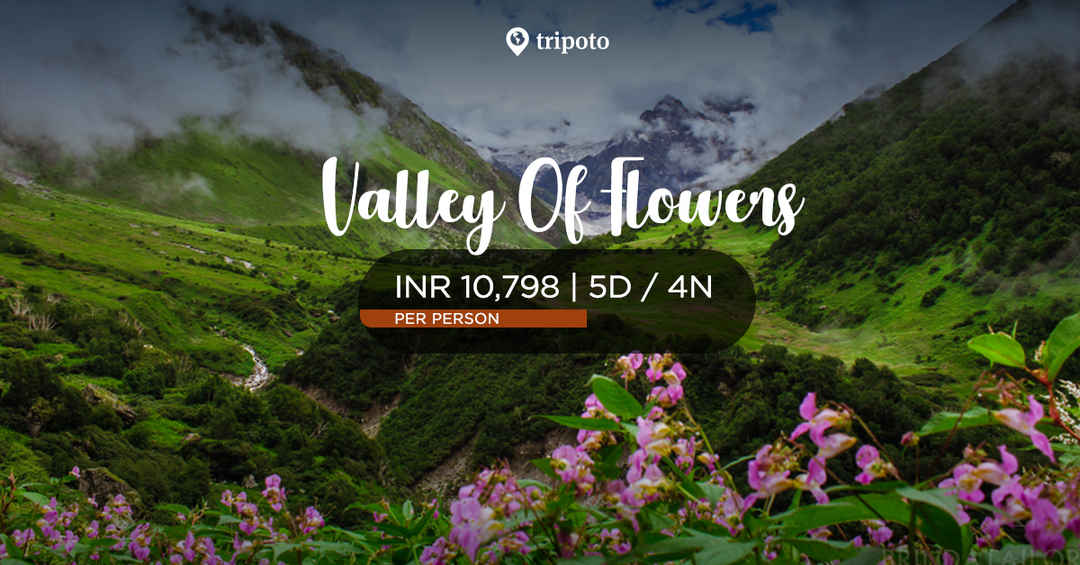 Photo of Trek to Valley of flowers