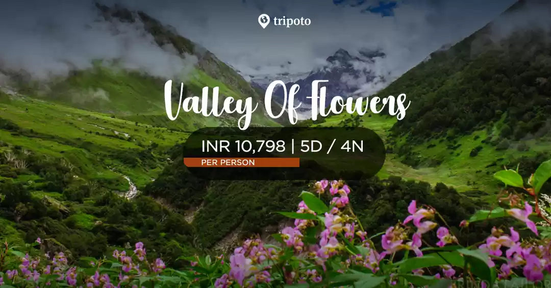 Image 1 of Trek To Valley Of Flowers