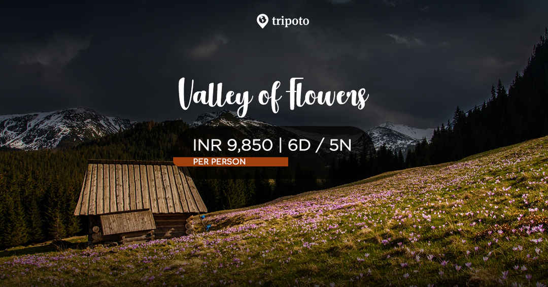Photo of Valley of Flowers Trek