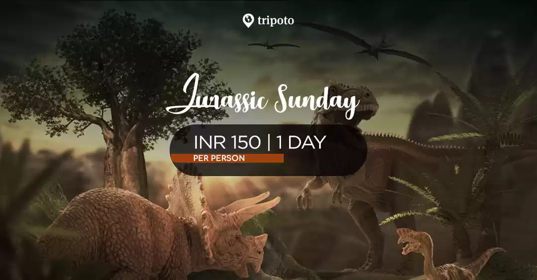 Image 1 of Jurassic Sunday In Gujarat