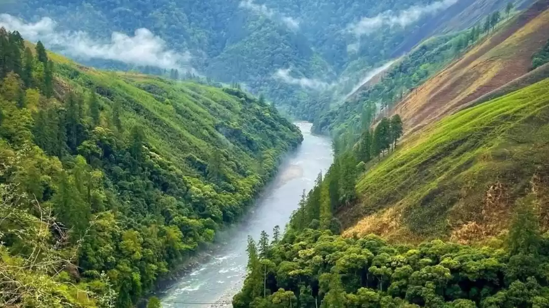 Photo of All You Need to Know