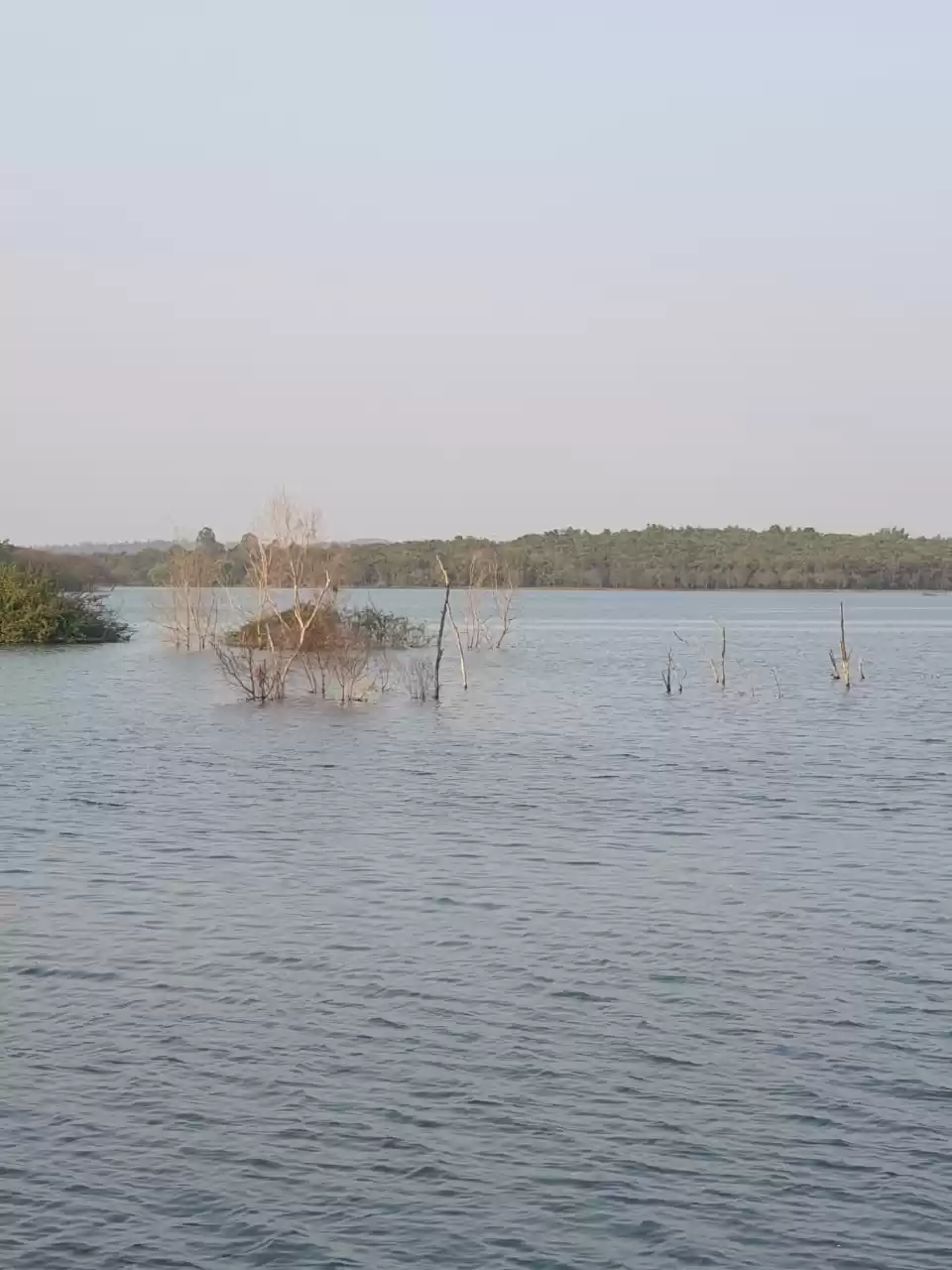 Photo of Attiveri Bird Sanctuary