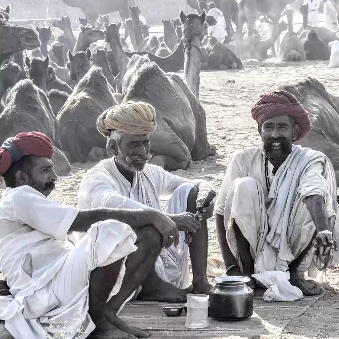 Photo of Pushkar Fair Ground