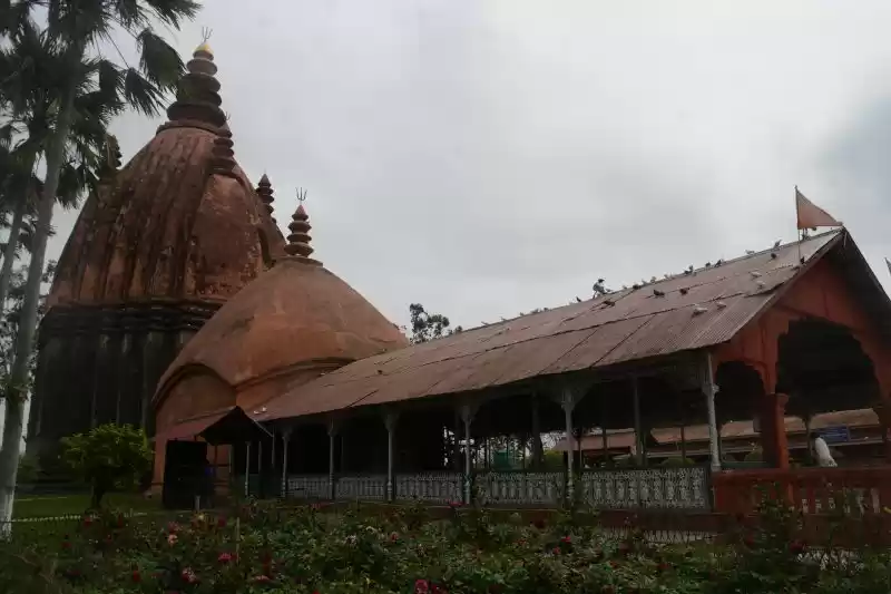 Photo of Shiva Dol