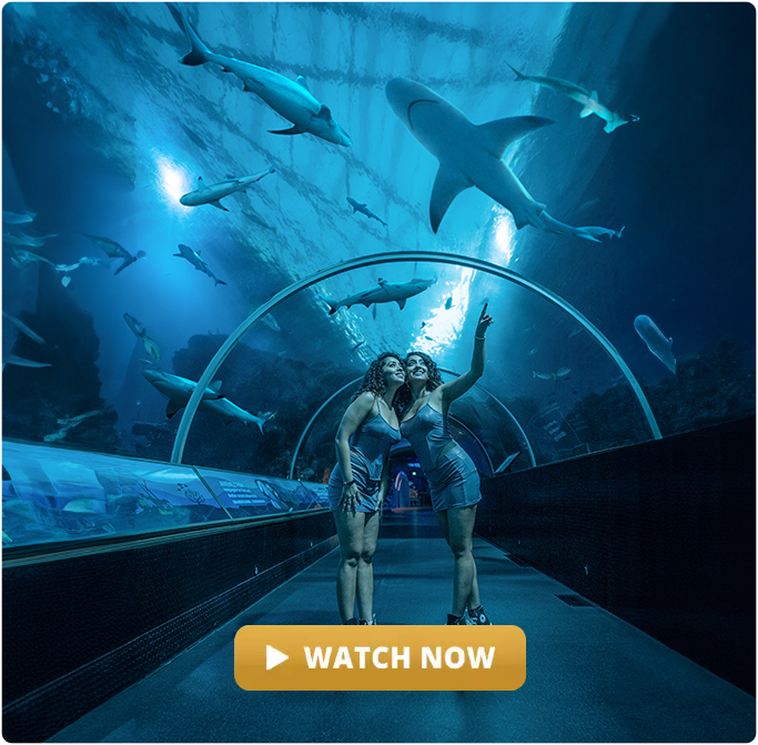 Photo of Discover why Re