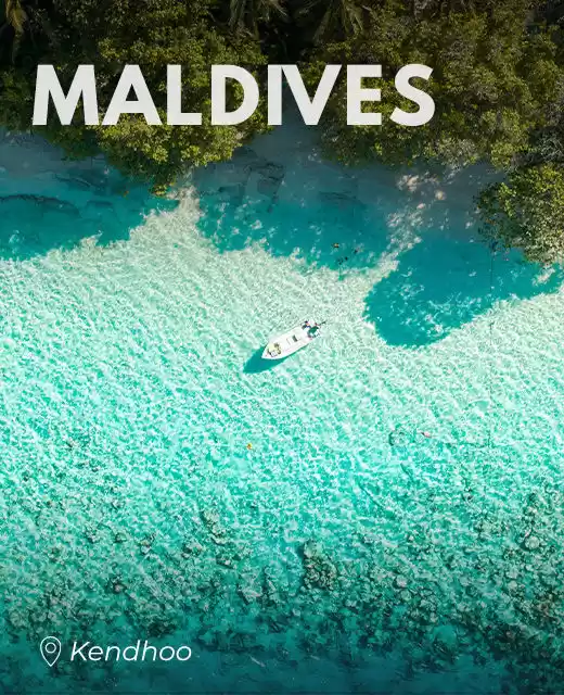 Photo of Starting ₹1,20,