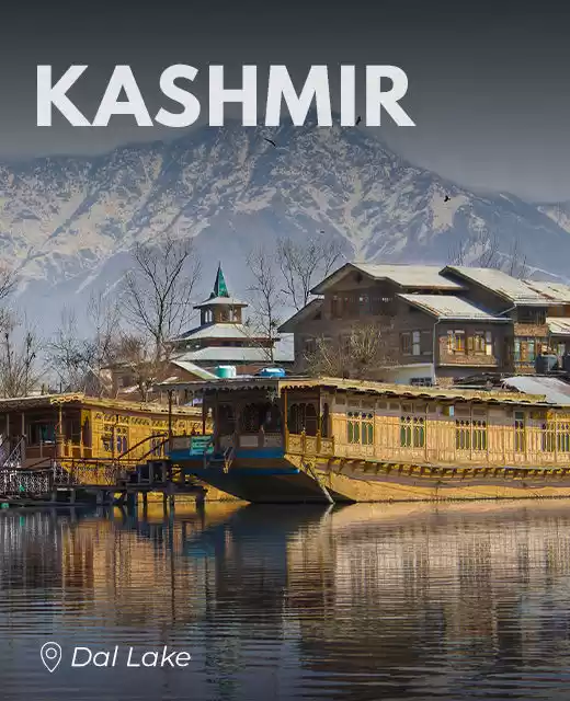 Photo of Starting ₹16,00